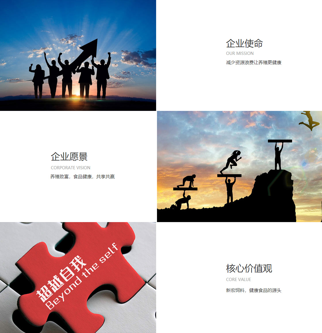 LETOU官方登录入口(图1)